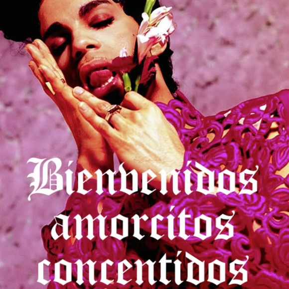 Meet your Posher, Liz - Picture 1 of 1